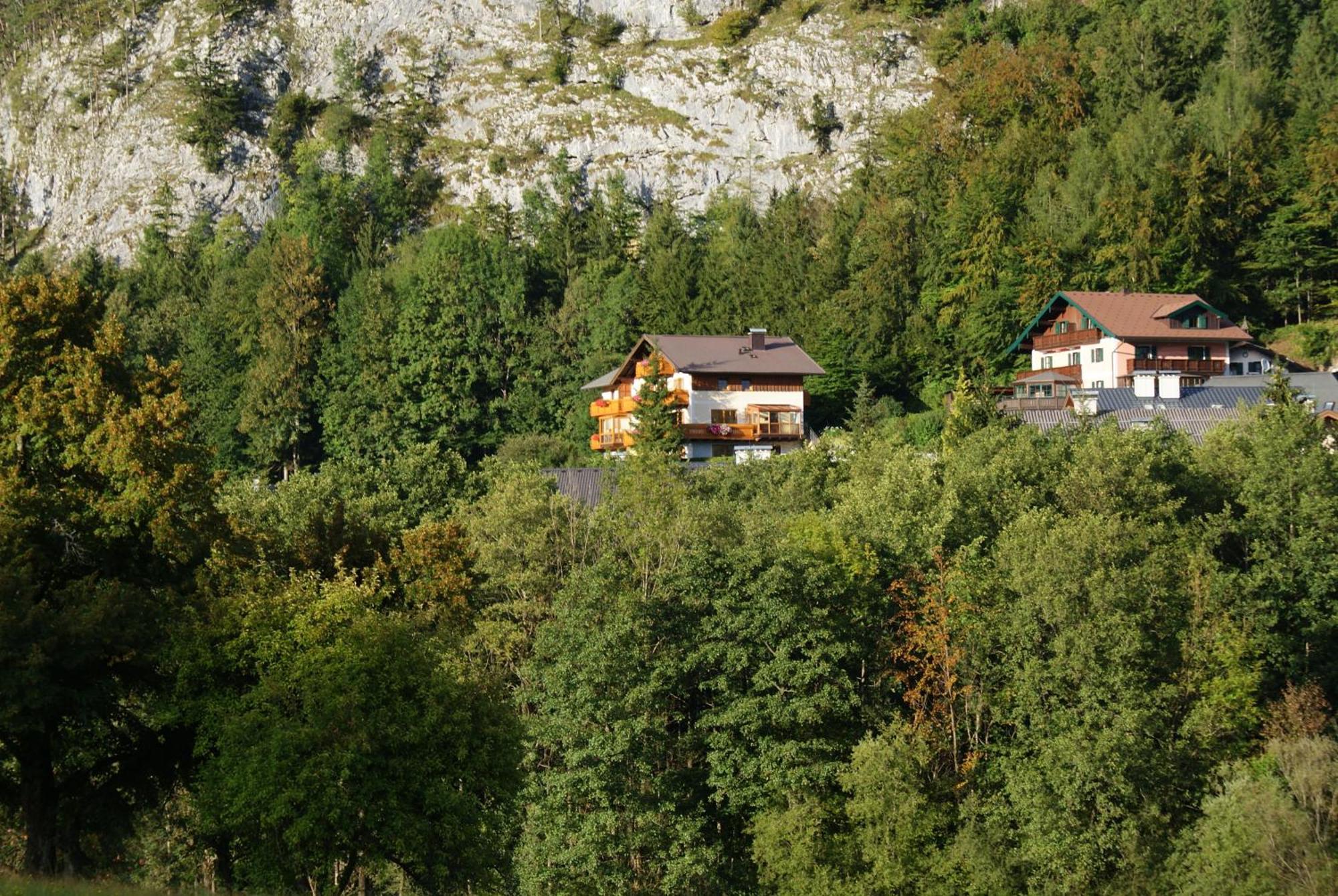 Haus Meissnitzer Fuschl am See Zewnętrze zdjęcie